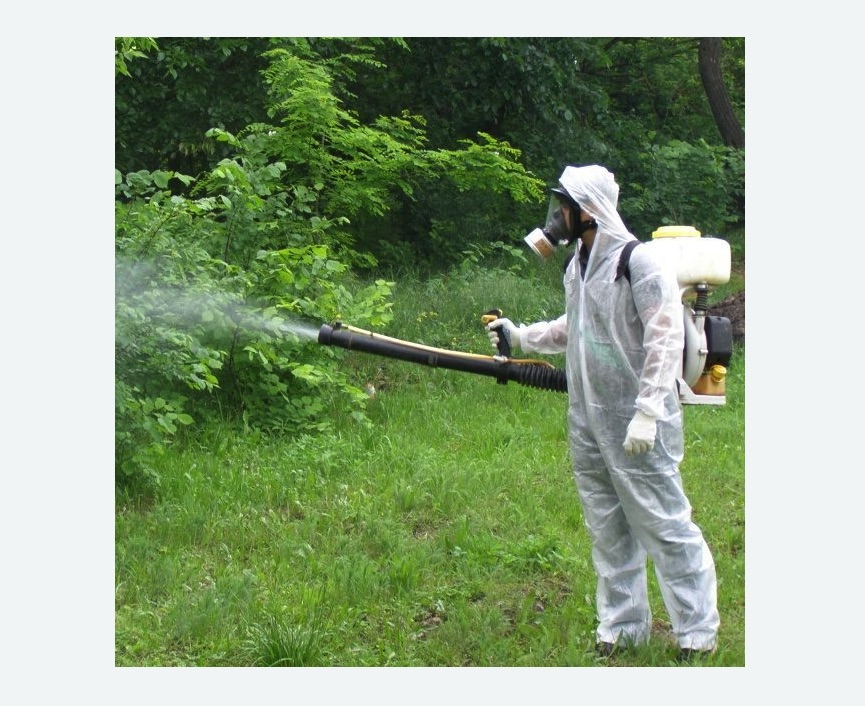 обработка территории от клещей в Измайлово города Москвы