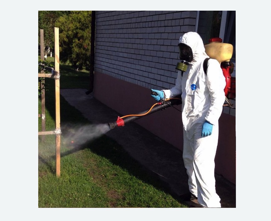 травля клещей на участке в Измайлово города Москвы