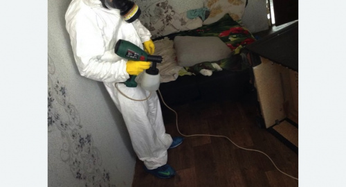 Обработка квартир от насекомых в Измайлово города Москвы