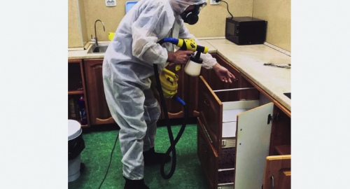 Дезинсекция квартиры. Измайлово