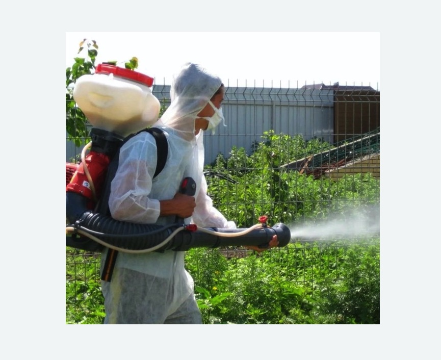 Акарицидная обработка территории в Измайлово города Москвы