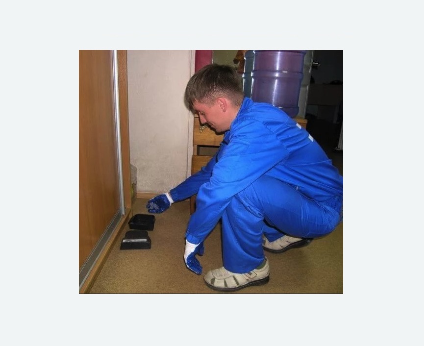 Дератизация крыс Дератизация крыс в Измайлово города Москвы