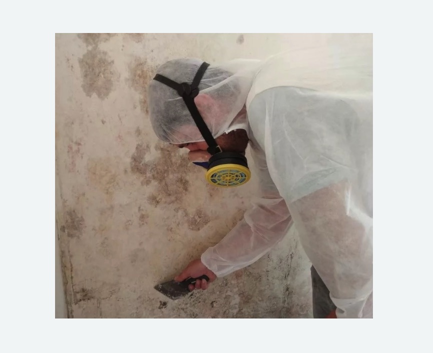 Обработка стен от плесени в Измайлово города Москвы