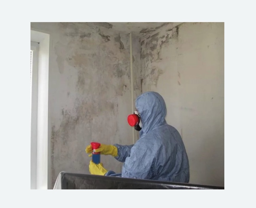 Удаление плесени в квартире в Измайлово города Москвы