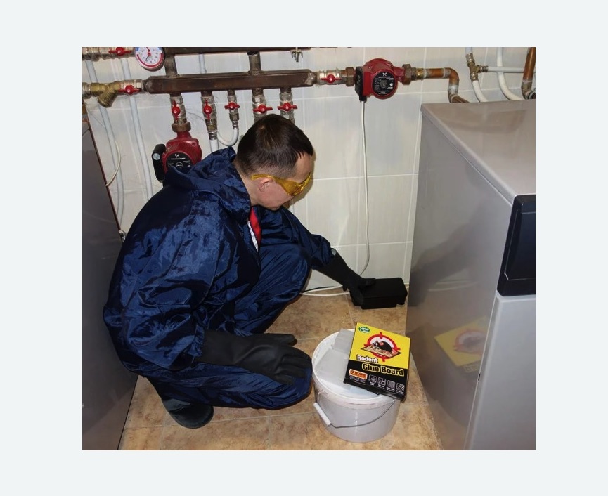 Уничтожение крыс Уничтожение крыс в Измайлово города Москвы