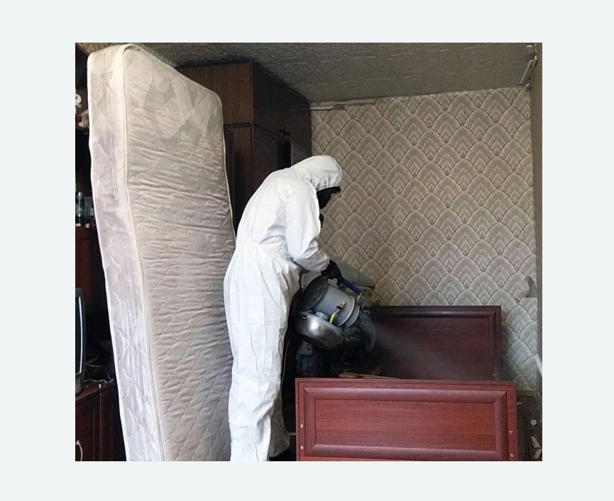 дезинфекция от клопов в Измайлово города Москвы