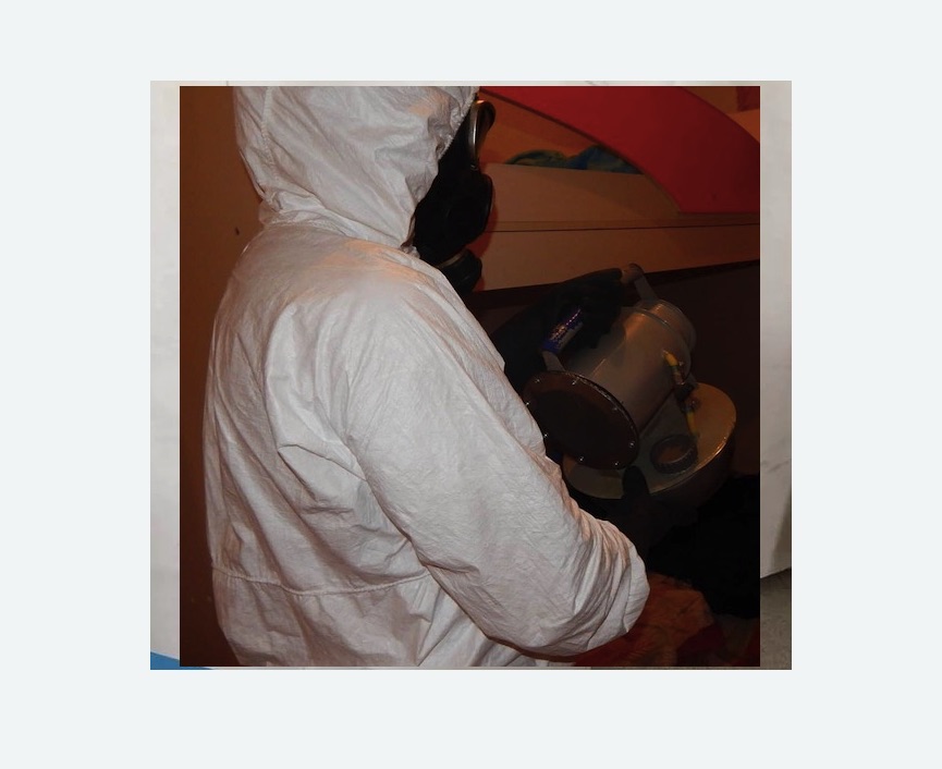 Дезинфекция от муравьев в Измайлово города Москвы