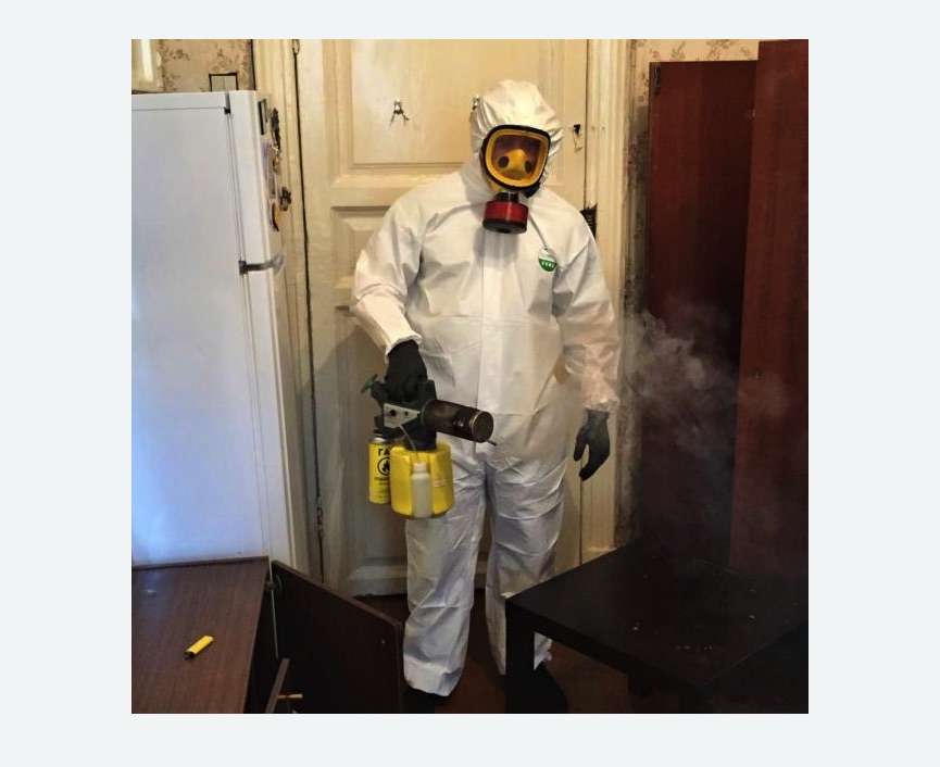 уничтожение муравьев в квартире в Измайлово города Москвы